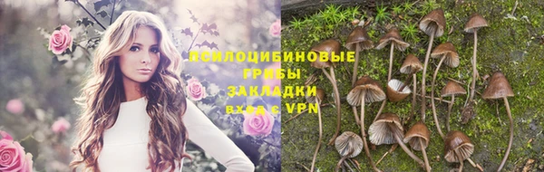 наркотики Абаза
