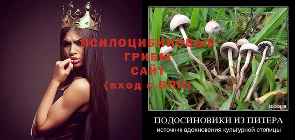 прущий лед Алексин
